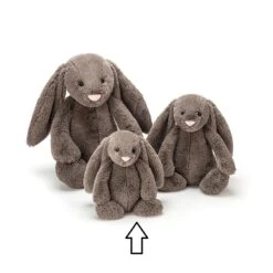 Jellycat Knuffel Konijn Bashful Truffle Bunny Small -The Little Ones image 113