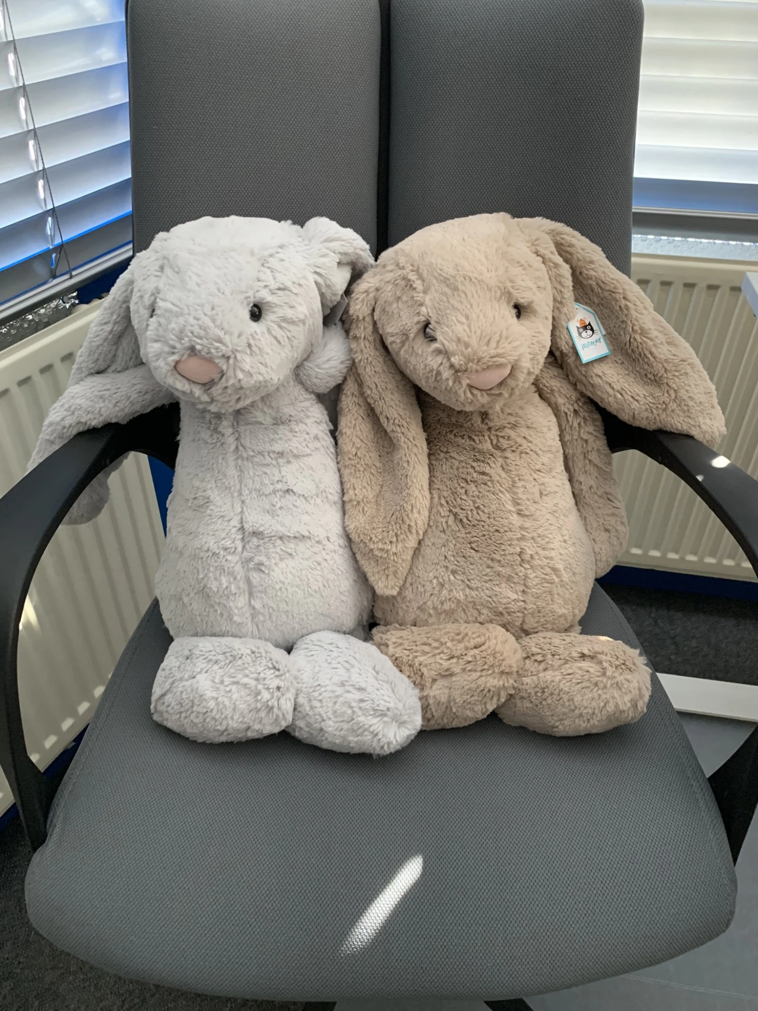 Jellycat Knuffel Konijn Bashful Beige Bunny Huge 8 Jellycat Knuffel Konijn Bashful Beige Bunny Huge - Afbeelding 6