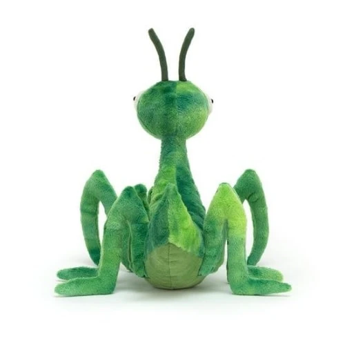 Jellycat Knuffels - Penny Praying Mantis, 22cm 5 Jellycat Knuffels - Penny Praying Mantis, 22cm - Afbeelding 3
